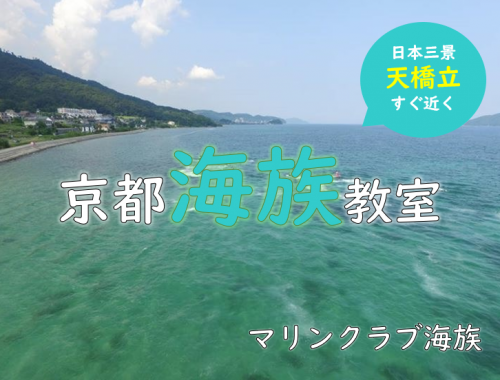 京都宮津でジェットスキー免許を取得するなら海族教室へ！
