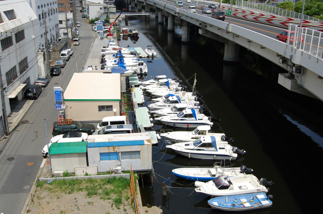 Dマリーナ　マリンライセンスロイヤル　ロイヤル　船舶免許東京　船舶免許横浜　船舶免許千葉　船舶免許埼玉　船舶免許神奈川　ボート免許横浜　ボート免許東京　水上バイク免許　ジェットスキー免許