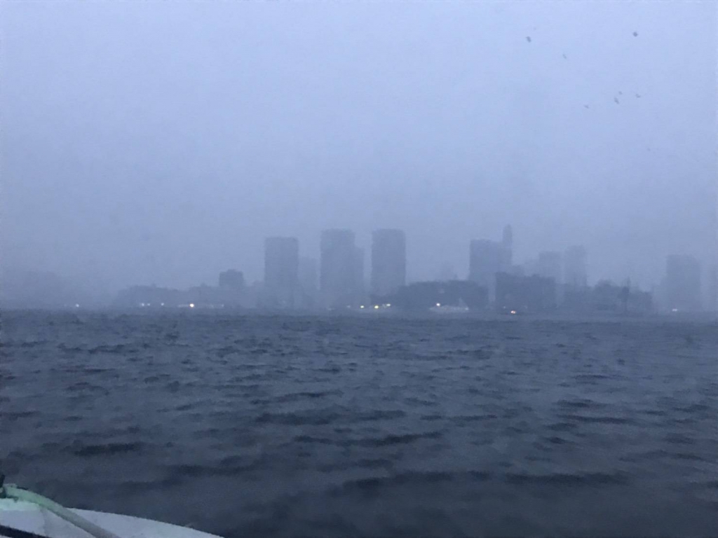 東京　雪　情報