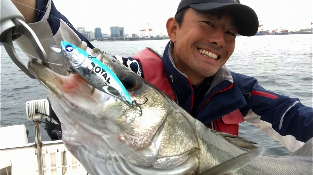 ナレージ　ルアー　シーバス　釣れるルアー　マリンライセンスロイヤル