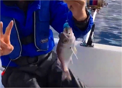 オオメハダ　深海魚　マリンライセンスロイヤル　船舶免許　ボート免許　西野さん　清野さん　深海魚ハンター