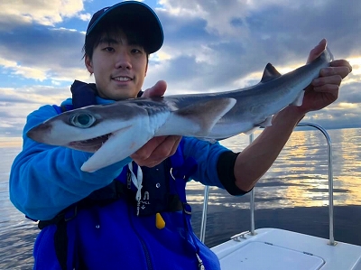 アドアブラザメ　深海魚　マリンライセンスロイヤル　船舶免許　ボート免許　西野さん　清野さん　深海魚ハンター