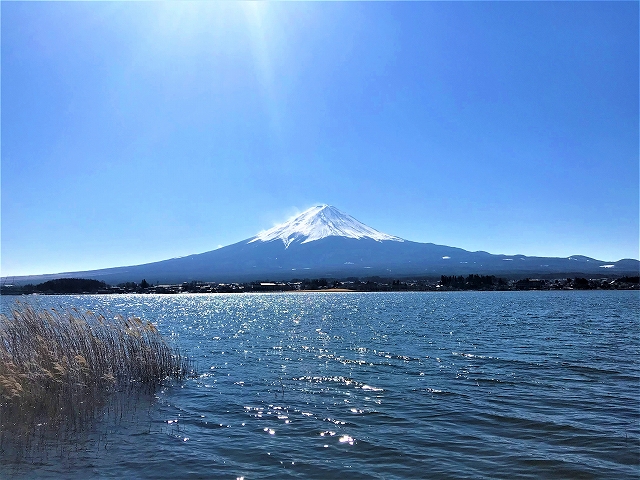 富士山　マリンライセンスロイヤル　河口湖　船舶免許