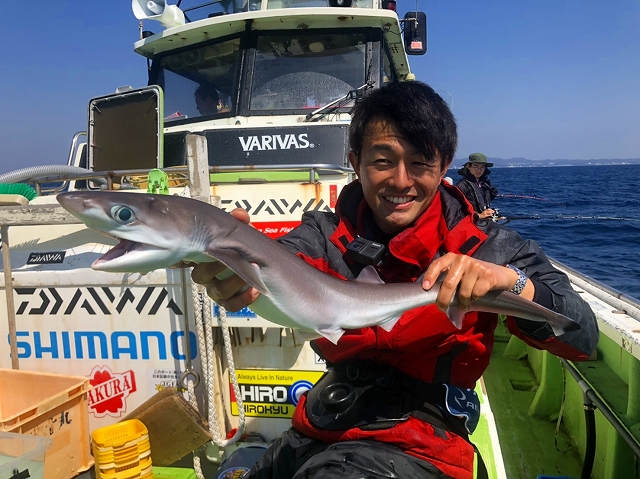 エドアブラザメ　サメ　東京和釣り　葉山釣り　深海魚　マリンライセンスロイヤル　深海魚ハンター