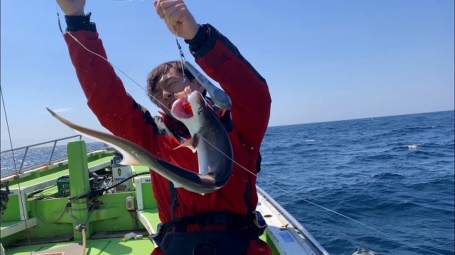 エドアブラザメ　サメ　東京和釣り　葉山釣り　深海魚　マリンライセンスロイヤル　深海魚ハンター