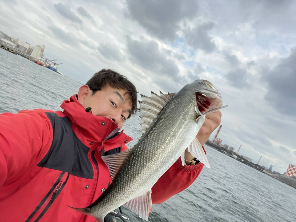 横浜釣り　シーバス　東京湾　マリンライセンスロイヤル東京