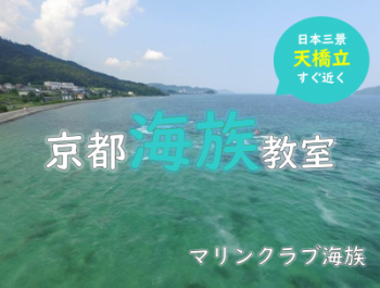 京都ジェットスキー免許　宮津ジェットスキー免許　舞鶴ジェットスキー免許