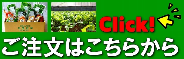 有機野菜　通販　マリンライセンスロイヤル　らぁ麺　ラーメン　販売　寺岡有機醸造　寺岡有機農場　寺岡本家