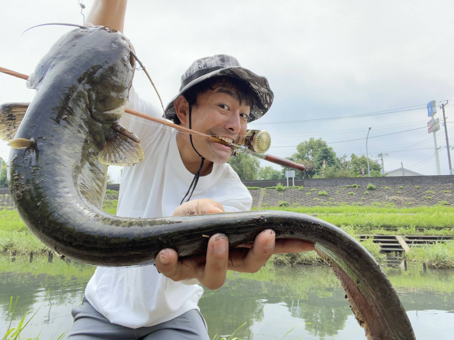 マリンライセンスロイヤル　魚釣り　なまず