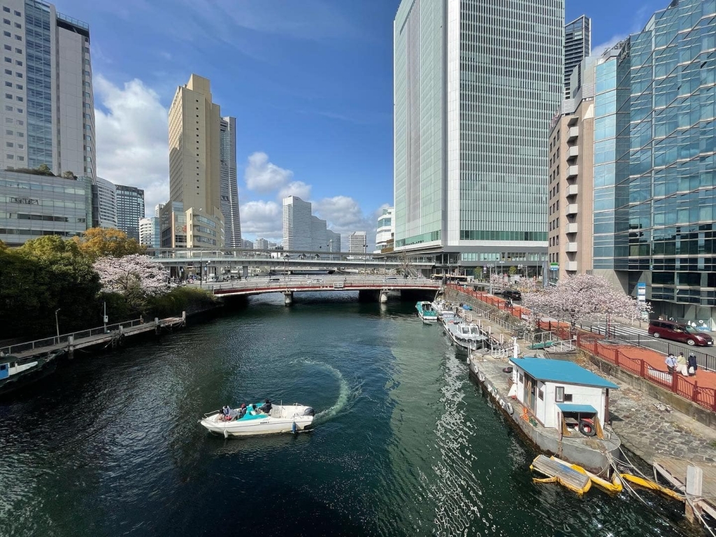 船舶免許横浜　マリンライセンスロイヤル東京　横浜船舶免許　横浜お花見クルーズ