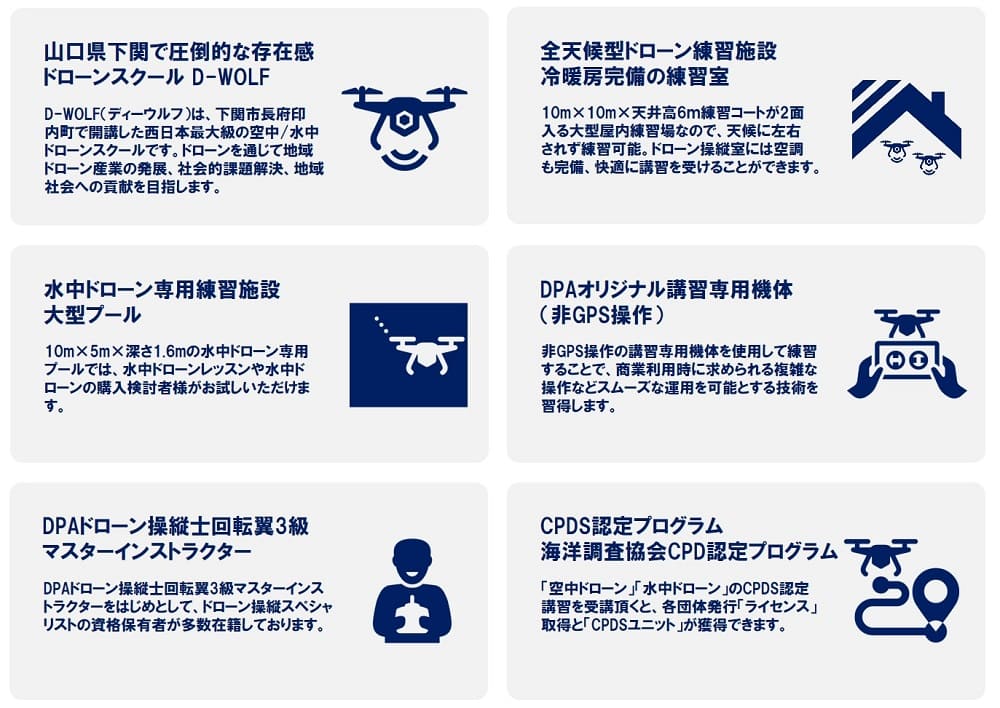 D-WOLFについて