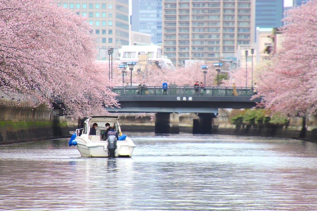 巴橋　操船セミナー　マリンライセンスロイヤル東京