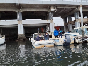 船舶免許千葉　小型船舶免許千葉　マリンライセンスロイヤル東京