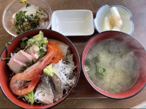 海鮮丼　初島　グルメ　熱海　定食