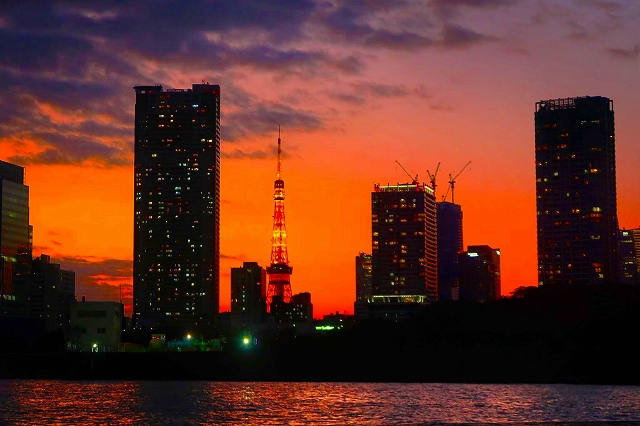 マリンライセンスロイヤル東京　東京サンセットクルージング操船セミナー　マリンライセンスロイヤル