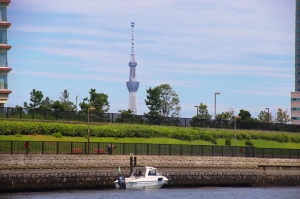 船舶免許東京　船舶免許　２級船舶免許　マリンライセンスロイヤル東京