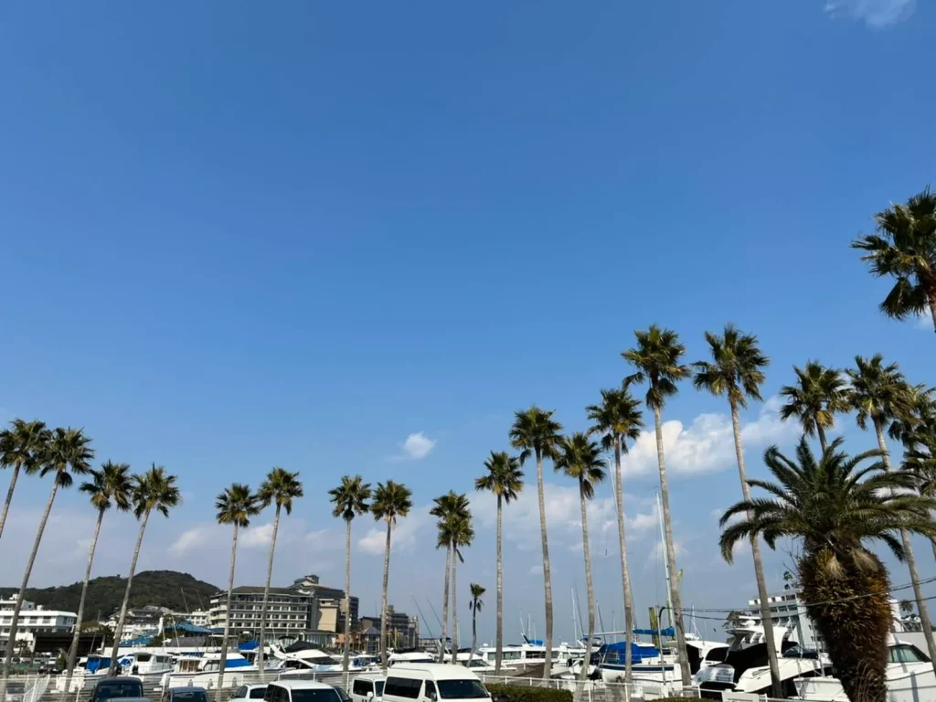 サントピアマリーナ 外の風景