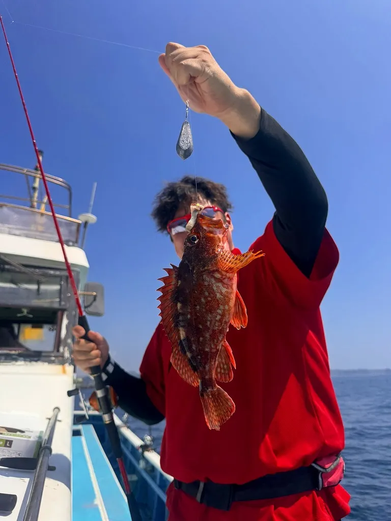 えいあん丸 マリンライセンスロイヤル